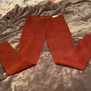 American eagle Maroon jeans